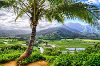 Hanalei Bay