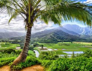 Hanalei Bay